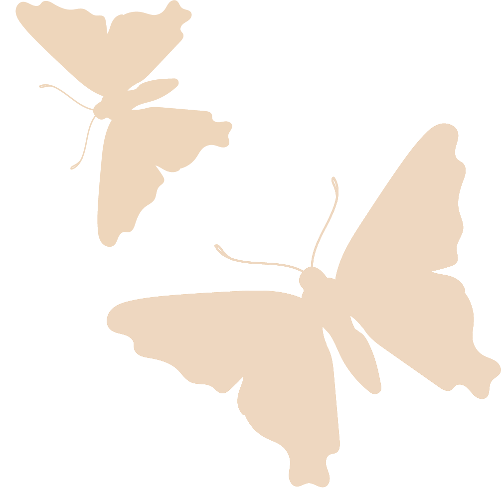 Butterflies decorative element