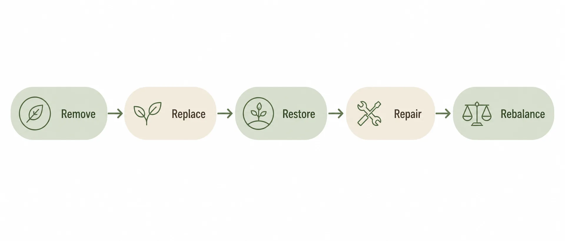 Five-step functional medicine gut care process: remove, replace, restore, repair, rebalance