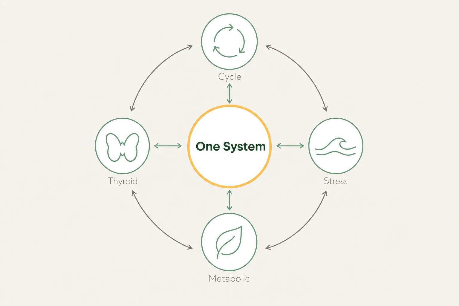 Diagram showing cycle hormones, stress, metabolic and thyroid nodes linked by two-way arrows around a central hub labelled one system.