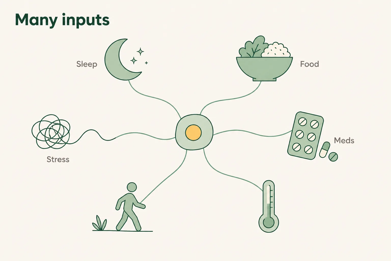 Illustration of sleep, nutrition, medication, illness, movement and stress all converging on a single cell, showing many possible influences on cellular energy.