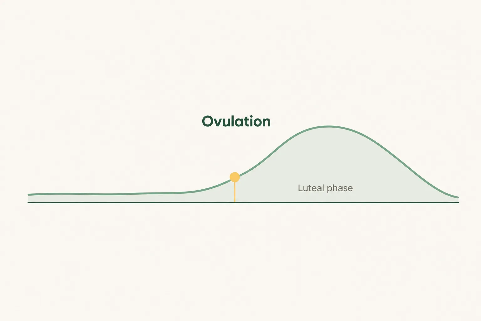Flat diagram of a menstrual cycle showing progesterone low in the first half, rising after ovulation and tapering through the luteal phase.