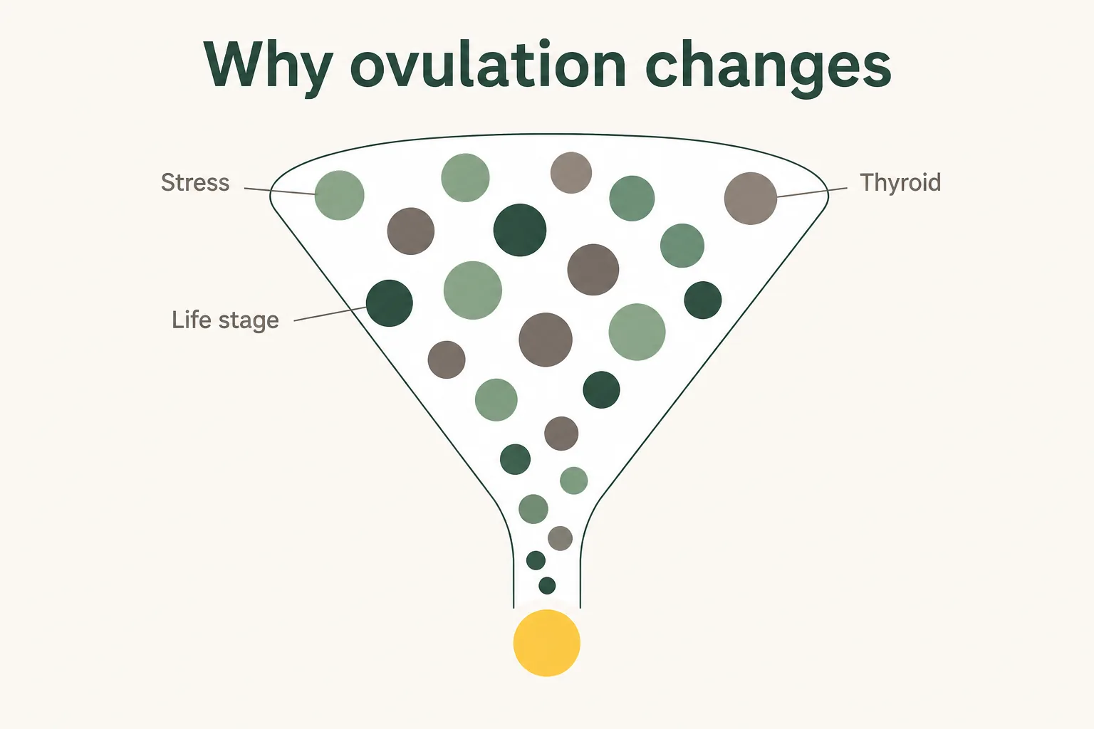 Flat illustration of a funnel where several overlapping factors such as stress, thyroid and life stage narrow down toward a single identified cause of ovulatory change.